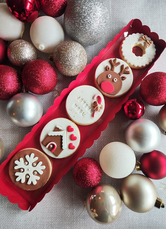 Coffret cerf - biscuits de Noël décorés à la main